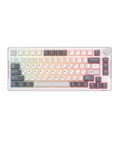 Купить Беспроводная клавиатура Royal Kludge RK-H81 белый, серый (6935280824111)  в E-mobi