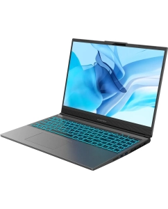 Купить Ноутбук Maibenben X-Treme Typhoon X16A-R77445 серый (X16A-R77445FFSLGRE0) в E-mobi