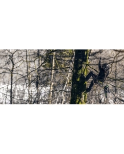 Купить Бесщеточная цепная одноручная пила GreenWorks 40 В 2003807  в E-mobi