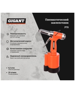 Купить Пневматический заклепочник (размер 2.4-4.8 мм; расход 29 л/мин) Gigant P70  в E-mobi