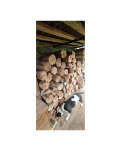 Купить Бензиновая цепная пила ECO 4515 FZ01.01.45E.003  в E-mobi