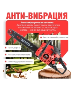 Купить Бензопила ECO CSP-166 шина 40 см (16), 3/8 LP, 1.3 мм, 57 звеньев EC1560-6  в E-mobi