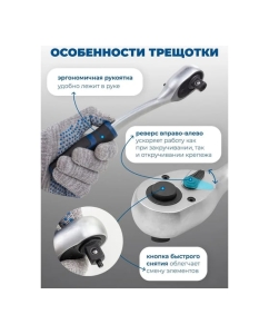 Купить Набор инструментов Scheppach 1/4", 3/8", 1/2" 6, 12 гр. 4-32 мм, 216+2 предмета Sch-38841+2(59300)  в E-mobi