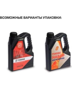 Купить Набор инструментов ТУНДРА подарочный пластиковый кейс Канистра, 21 предмет 4506458  в E-mobi