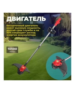 Купить Аккумуляторный триммер WORTEX TB 3018-1 ALL1 0333242  в E-mobi