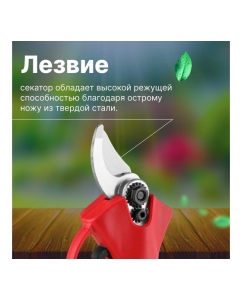 Купить Аккумуляторный секатор WORTEX CBS 2535 ALL1 0329111  в E-mobi