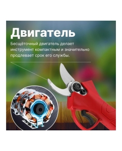Купить Аккумуляторный секатор WORTEX CBS 2535 ALL1 0329111  в E-mobi