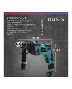 Купить Электрическая ударная дрель OASIS DU-100 4640039480280  в E-mobi