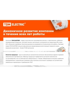 Купить Аккумуляторная дрель-шуруповерт TDM ДША-12-ЛК1 Гранит SQ1030-0202  в E-mobi