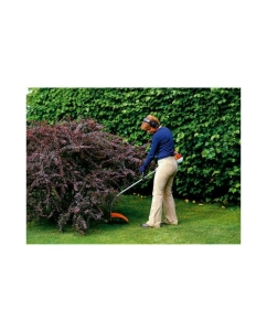 Купить Бензокоса Oleo-Mac SPARTA 25TR 6116-9101E1  в E-mobi