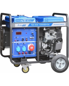 Купить Бензогенератор ТСС SGG 10000 EH3A 190010  в E-mobi
