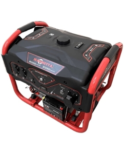 Купить Бензиновый генератор MAGNETTA GFE11000  в E-mobi