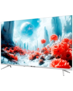 Купить Телевизор EVO tv 43, 43"(109 см), FHD  в E-mobi