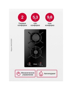 Купить Встраиваемая варочная панель газовая Hansa BHKS330500 черный  в E-mobi
