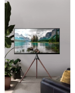 Купить Подставка для телевизора Cactus CS-ST1246BKWN, 45-65", напольный, черный  в E-mobi