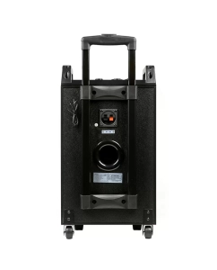 Купить Портативная колонка Dialog AO-210 Black (AO-210)  в E-mobi