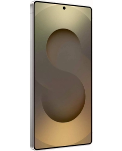 Купить Смартфон Samsung Galaxy S25 Ultra 5G 12/256GB Titanium Gray  в E-mobi