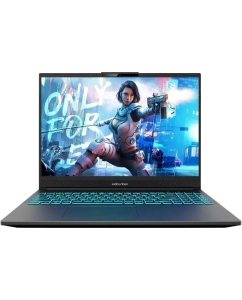 Купить Ноутбук MAIBENBEN X16A Grey (X16A-i73646FQSLGRE0) в E-mobi