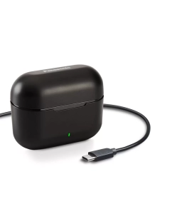 Купить Беспроводные наушники Panasonic RZ-B310WDG-K  в E-mobi