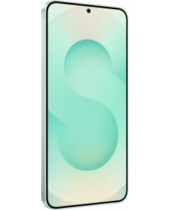 Купить Смартфон Samsung Galaxy S25+ 5G 12/256GB Mint  в E-mobi