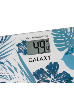 Купить Весы напольные Galaxy GL4801 Grey  в E-mobi
