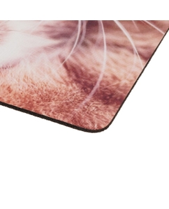 Купить Коврик DEXP OM-XS Kitten  разноцветный  в E-mobi