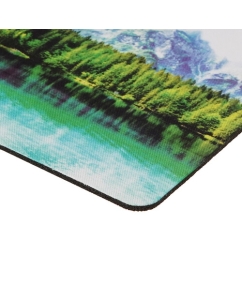 Купить Коврик DEXP OM-XS Lake  разноцветный  в E-mobi