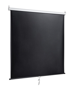 Купить 89&quot; Экран для проектора DEXP WM-60  в E-mobi