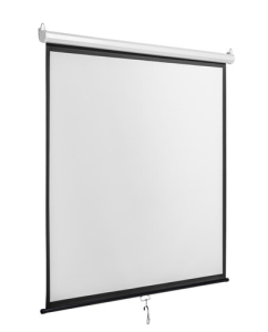 Купить 113&quot; Экран для проектора DEXP WM-80  в E-mobi