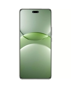 Купить Смартфон Huawei Nova 13 Pro 12/512GB зелёный (178133)  в E-mobi