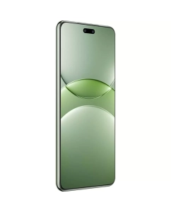 Купить Смартфон Huawei Nova 13 Pro 12/512GB зелёный (178133)  в E-mobi