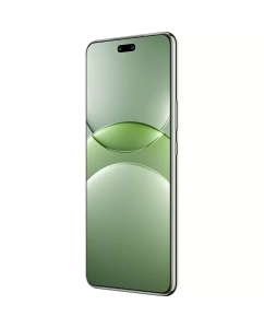 Купить Смартфон Huawei Nova 13 Pro 12/512GB зелёный (178133)  в E-mobi