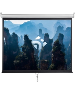 Купить 100&quot; Экран для проектора DEXP WM-100  в E-mobi