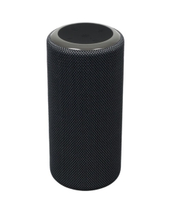 Купить Портативная колонка Aceline APS275, серый  в E-mobi