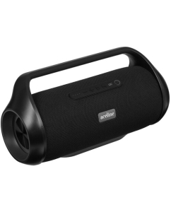 Купить Портативная колонка Aceline P550, черный  в E-mobi