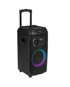 Купить Портативная аудиосистема Aceline LP-V150, черный в E-mobi