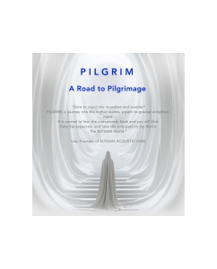 Купить Elysian Acoustic PILGRIM  в E-mobi