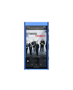 Купить HiBy Digital M300  в E-mobi
