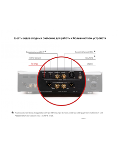 Купить Cayin CS-100DAC  в E-mobi