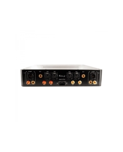 Купить Audio-GD Master 19  в E-mobi