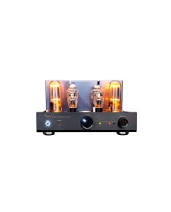 Купить Cayin CS-805A  в E-mobi