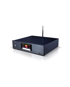 Купить Cayin CS-100DAP  в E-mobi