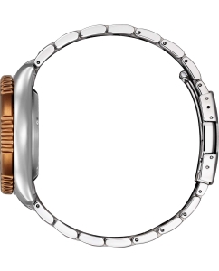 Купить Японские механические наручные часы Citizen NY0164-65X  в E-mobi