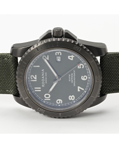 Купить Наручные часы Rodania R18039  в E-mobi