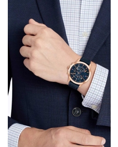 Купить Наручные часы Tommy Hilfiger 1710475  в E-mobi