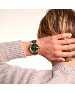 Купить Наручные часы Daniel Wellington Iconic Automatic 40 Sheffield RG Green Enamel  в E-mobi