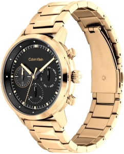 Купить Наручные часы Calvin Klein 25200065  в E-mobi