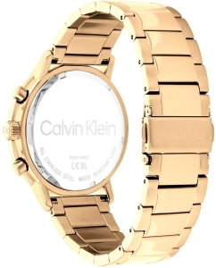 Купить Наручные часы Calvin Klein 25200065  в E-mobi