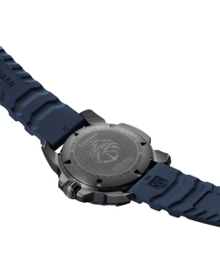 Купить Наручные часы Luminox XS.3255.CB.NSF NAVY SEAL STEEL 3250 SERIES  в E-mobi