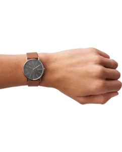 Купить Наручные часы Skagen SKW6578  в E-mobi